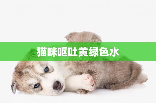貓咪嘔吐黃綠色水
