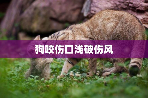 狗咬傷口淺破傷風
