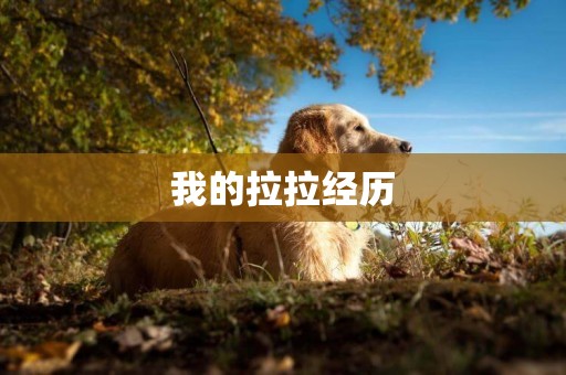 我的拉拉經歷