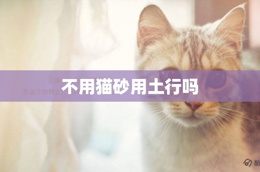 不用貓砂用土行嗎