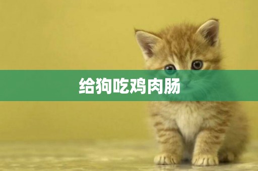 給狗吃雞肉腸