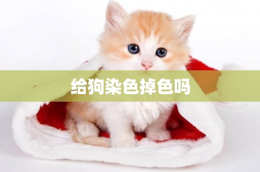 給狗染色掉色嗎