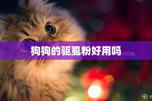 狗狗的驅虱粉好用嗎