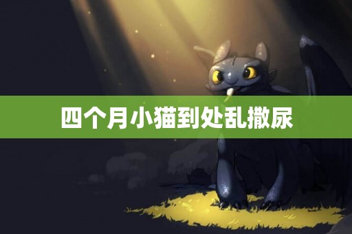 四個月小貓到處亂撒尿