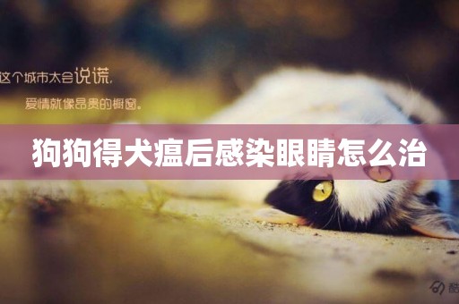 狗狗得犬瘟后感染眼睛怎么治