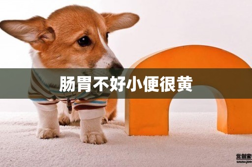 腸胃不好小便很黃