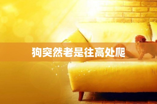 狗突然老是往高處爬