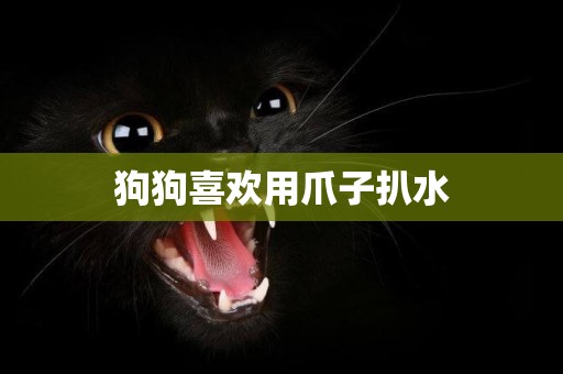 狗狗喜歡用爪子扒水