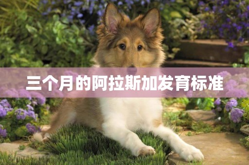 三個月的阿拉斯加發育標準