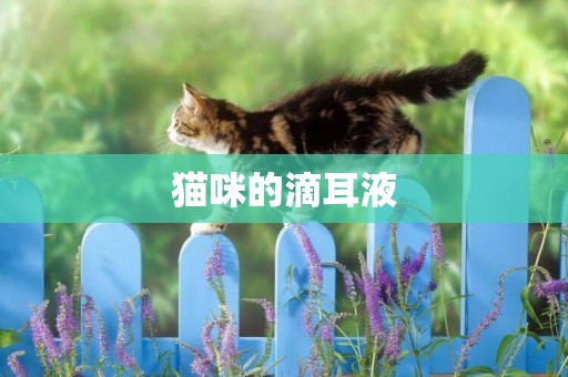 貓咪的滴耳液