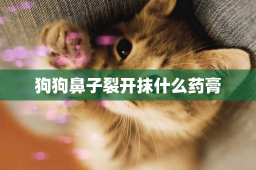 狗狗鼻子裂開抹什么藥膏