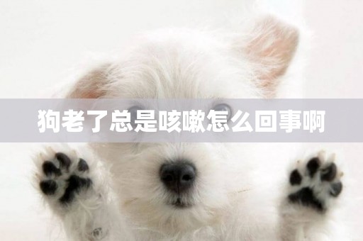 狗老了總是咳嗽怎么回事啊