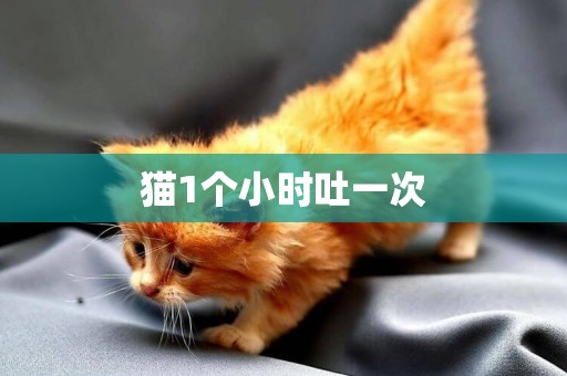 貓1個小時吐一次
