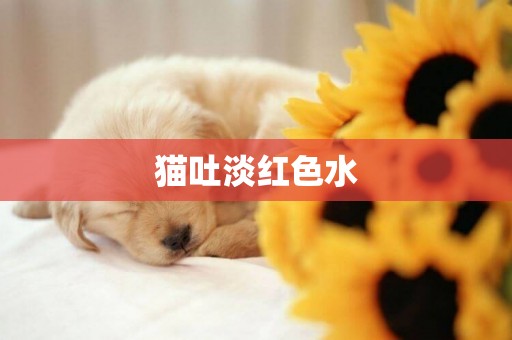 貓吐淡紅色水