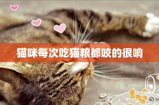 貓咪每次吃貓糧都咬的很響
