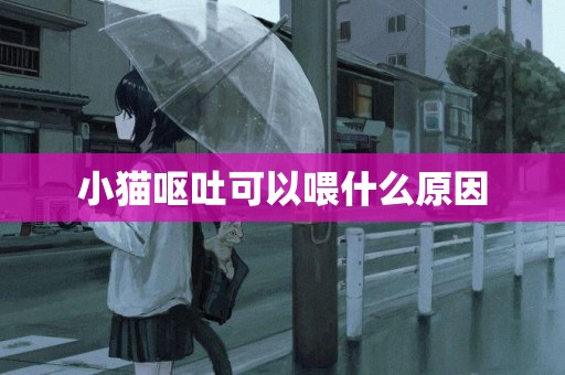 小貓嘔吐可以喂什么原因