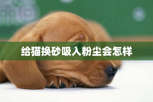給貓換砂吸入粉塵會怎樣