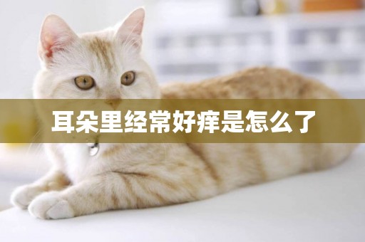 耳朵里經常好癢是怎么了