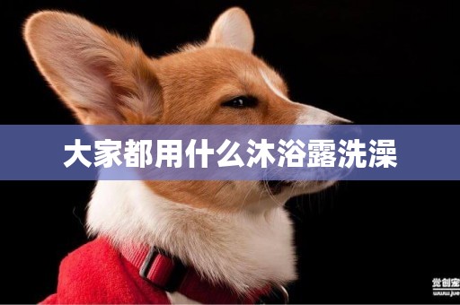大家都用什么沐浴露洗澡