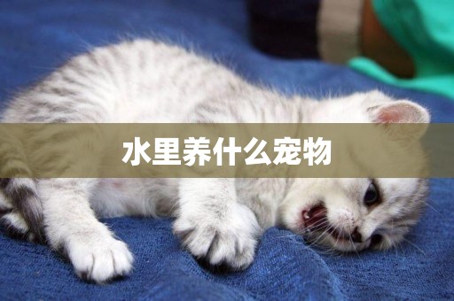 水里養什么寵物