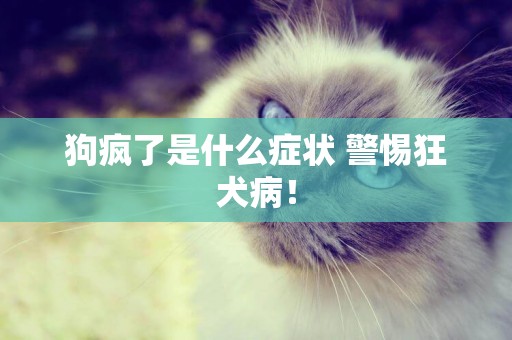 狗瘋了是什么癥狀 警惕狂犬病! 狗瘋了是什么癥狀 警惕狂犬病!
