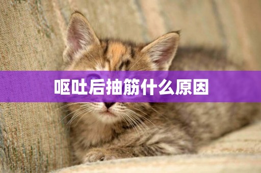 嘔吐后抽筋什么原因