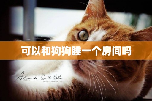 可以和狗狗睡一個房間嗎
