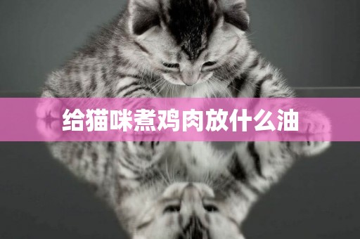 給貓咪煮雞肉放什么油