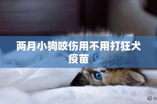 兩月小狗咬傷用不用打狂犬疫苗