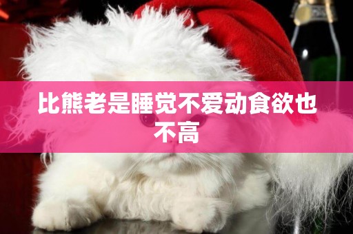 比熊老是睡覺不愛動食欲也不高
