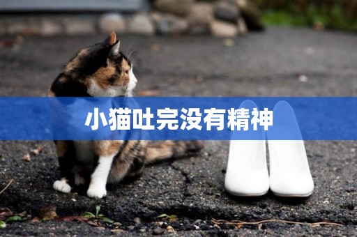小貓吐完沒有精神