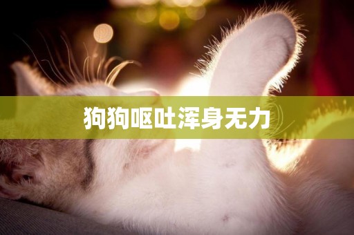 狗狗嘔吐渾身無力