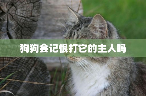 狗狗會記恨打它的主人嗎