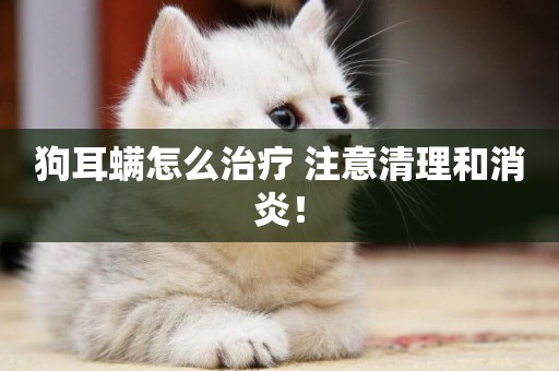 狗耳螨怎么治療 注意清理和消炎！