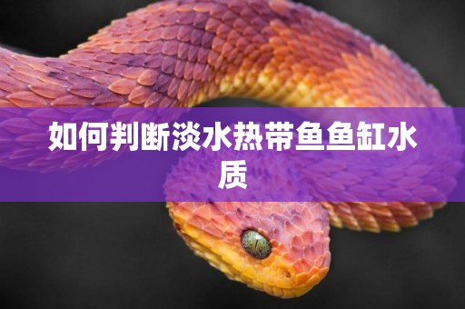 如何判斷淡水熱帶魚魚缸水質