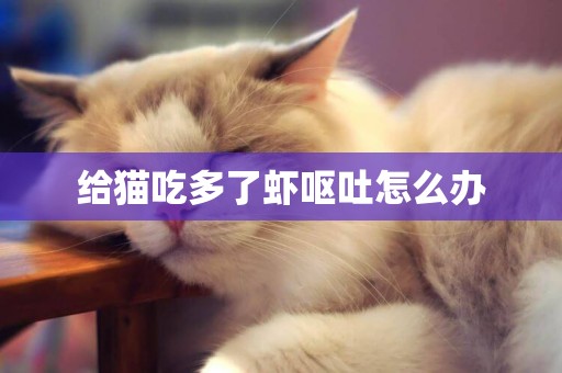 給貓吃多了蝦嘔吐怎么辦