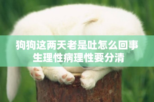 狗狗這兩天老是吐怎么回事 生理性病理性要分清