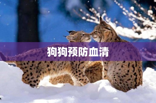 狗狗預防血清
