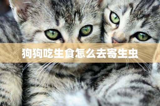 狗狗吃生食怎么去寄生蟲