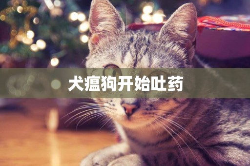 犬瘟狗開始吐藥