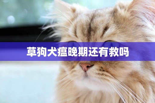 草狗犬瘟晚期還有救嗎