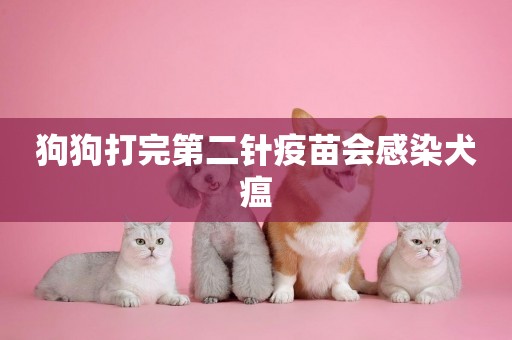 狗狗打完第二針疫苗會感染犬瘟