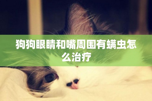 狗狗眼睛和嘴周圍有螨蟲怎么治療