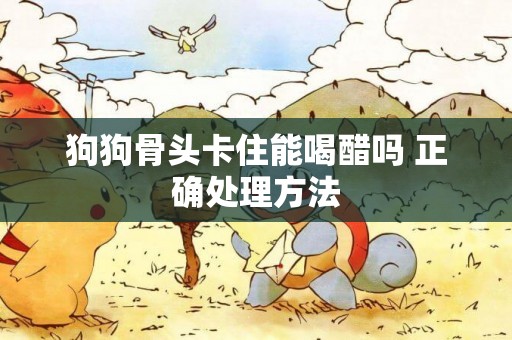 狗狗骨頭卡住能喝醋嗎 正確處理方法