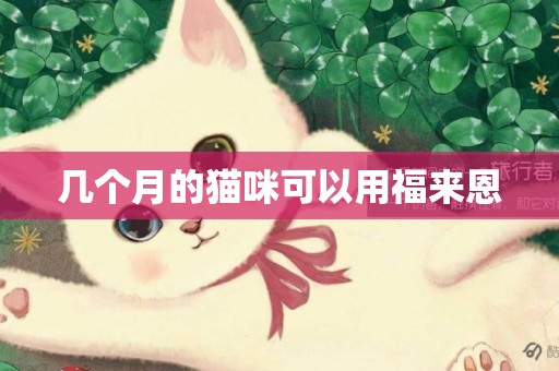 幾個月的貓咪可以用福來恩