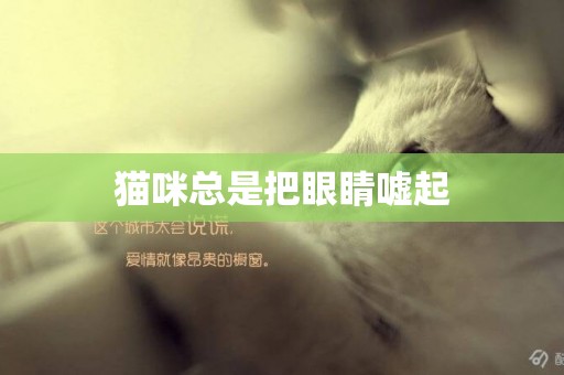 貓咪總是把眼睛噓起