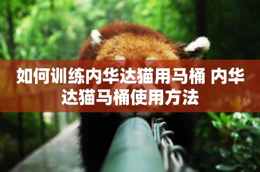 如何訓練內華達貓用馬桶 內華達貓馬桶使用方法