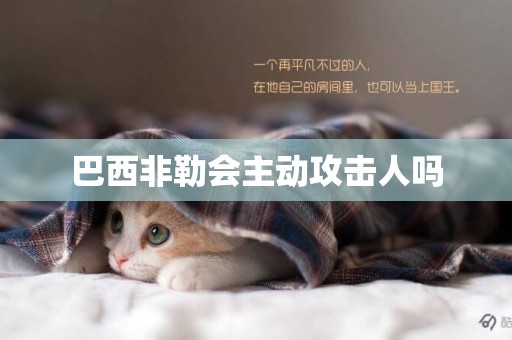 巴西非勒會主動攻擊人嗎