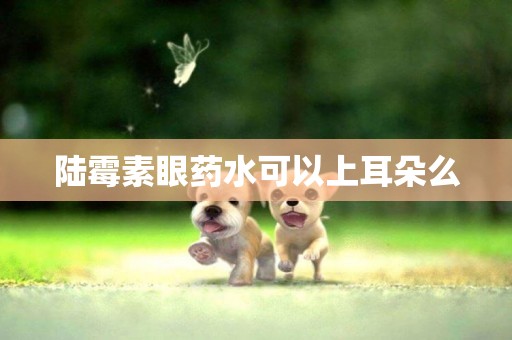 陸霉素眼藥水可以上耳朵么
