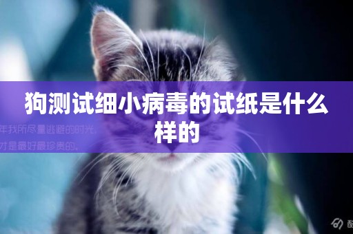 狗測試細小病毒的試紙是什么樣的